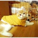 충현동물병원 이미지