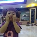 스카이랜드 이미지