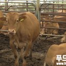 황인선농장 이미지