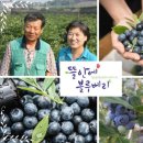 협동조합 오성 이미지