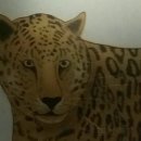 하바하바꾹 이미지