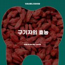동양건재 | 구기자의효능 궁금할 때 많이 묻는 이야기들
