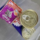 차희식자재마트 | 보성 1박2일 혼자 여행, 뜨락 아뜰리에 펜션 방문 후기