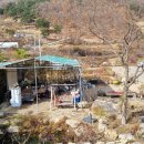 성진자연펜션 이미지