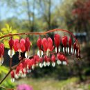 강남동 행정복지센터 이미지