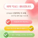 메이트 동물병원 이미지