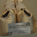 박정자발레스쿨학원 이미지