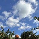 창훈농장 이미지