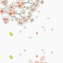 내인생의 봄날 이미지