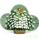 삼육사로24 이미지