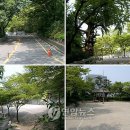 유스호텔 진입로  유스호텔 이미지