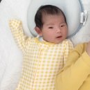 친손자를 보고 이미지