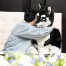 트루러브 이미지