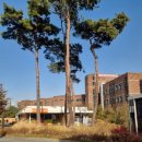 새샘약국 | [서울형키즈카페] 햇살 가득 들어오는 동대문 새샘공원점 방문 후기