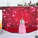 노거수 은행나무 축제의 속삭임 이미지