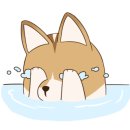 따께리아 라 비다(Taqueria La Vida) 이미지