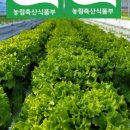 굿샐러드 이미지