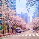 스타벅스 서김해IC DT점 이미지