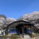 고등어식당 서리점