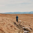 경주 가볼만한곳 경주 중앙시장 야시장 꿀팁 만원의행복 ( + 주차장 이미지