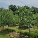 선행농원 이미지