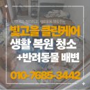 우리동네이불집 - 김해시 구지로186번길 17 | 광주 청소업체ㅣ원룸 퇴거청소 쓰레기집 반려동물 배변 청소 후기
