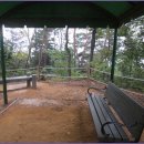 서리풀길 22 이미지