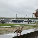 링크드플러스(주) | 해외취업용 링크드인 사용법 (ft. 싱가포르 기업 면접 썰)