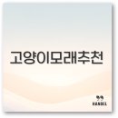크린에버 | 고양이 모래 추천부터 사막화 비교 에버크린 두부모래까지 깔끔 정리