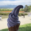 신신주유소 | 홋카이도 여행4일차 - 오비히로 롯카테이, 후라노 팜토미타, 비에이 청의 호수와 흰수염 폭포...