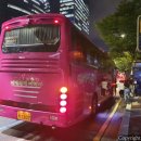 대일관광여행사 이미지