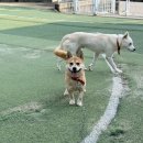 누룽/남아/4살 이미지