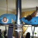 우정동물병원 이미지