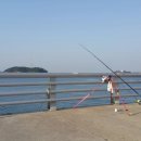 원투 피시 이미지