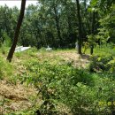 만남의광장 이미지