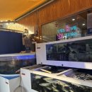 박영철 | 대구 달서구 숙성회 오마카세 솔직후기 | 박영철사시미