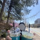 UR(원주시)-[단관공원길]-상-1 | 흐린 날씨를 이기는 법: 맛있는 밥을 먹는다