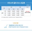 나인스타 이미지