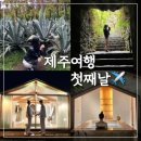 영신대형카 | 제주여행 첫 번째 이야기 ✈ (고객식당/우무푸딩/우진해장국/한림공원/감성숙소/영신상회)