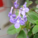명신문화사