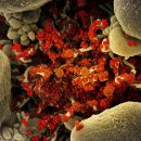 델타메드 이미지