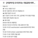 라탄 앤 day 이미지