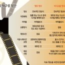 영비디오 이미지