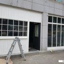 올리브8038