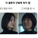 김치찜은못참지 티스토리
