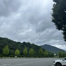 옥산리 매표소 이미지