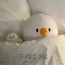 11545-03-34-30 | <임신일기> 03. 임신 후기(30주~34주 막달검사🤍)