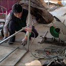 성권농장 이미지