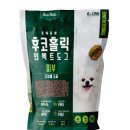 강아지홀릭 이미지