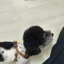 보목경로당 이미지